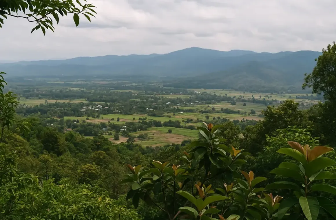 How Elephant Sanctuaries Are Helping Local Communities in Chiang Mai_result