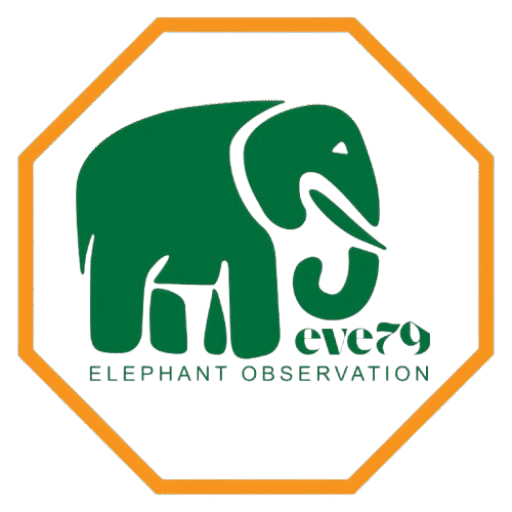 logo-elephants-observation